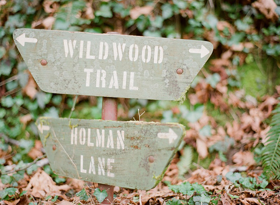Where The Wild Things Are inspired walk in the woods | 100 Layer Cakelet