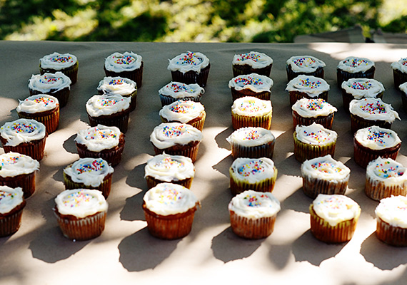 Outdoor Boys 3rd birthday party | 100 Layer Cakelet