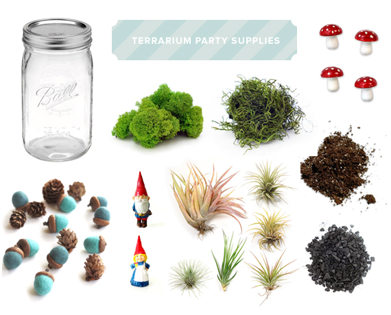 Terrarium party supplies | 100 Layer Cakelet