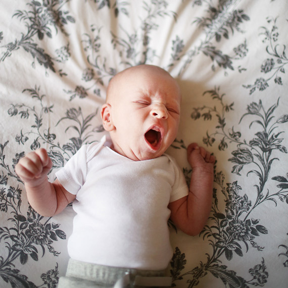 Ontario newborn photos by Red Rubber Studio | 100 Layer Cakelet