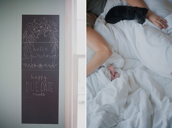 Charleston newborn photos by Katie Purnell | 100 Layer Cakelet