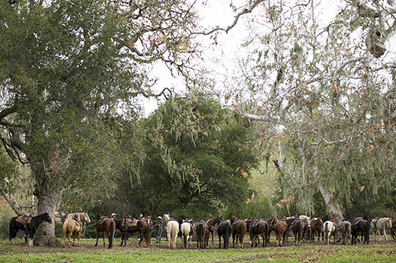 Alisal Ranch family trip | Photo by Scott Clark Photo | 100 Layer Cakelet