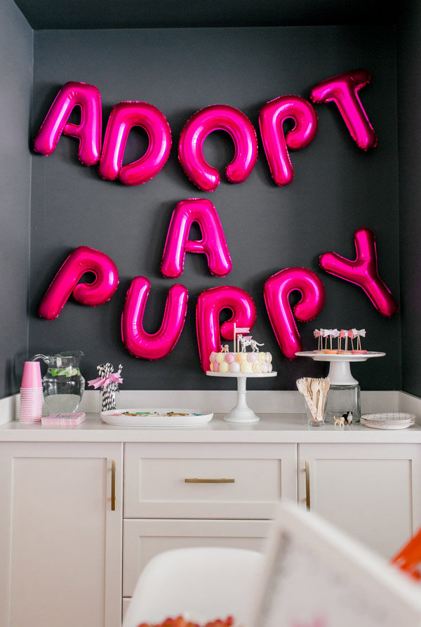 Adopt a Puppy Party