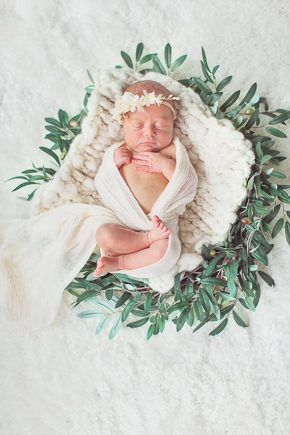 styled newborn photos
